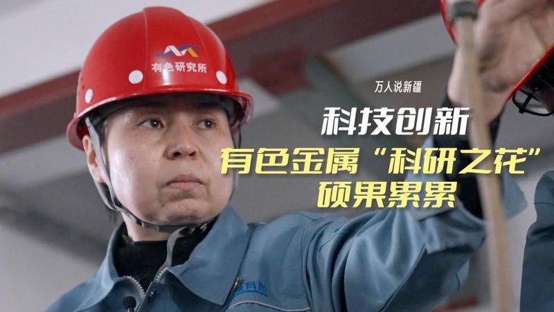 数据中台在政府项目中的应用：构建高效信息处理平台**